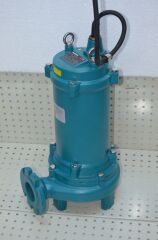 P3000T Momentum Pompa