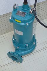 P3000T Momentum Pompa